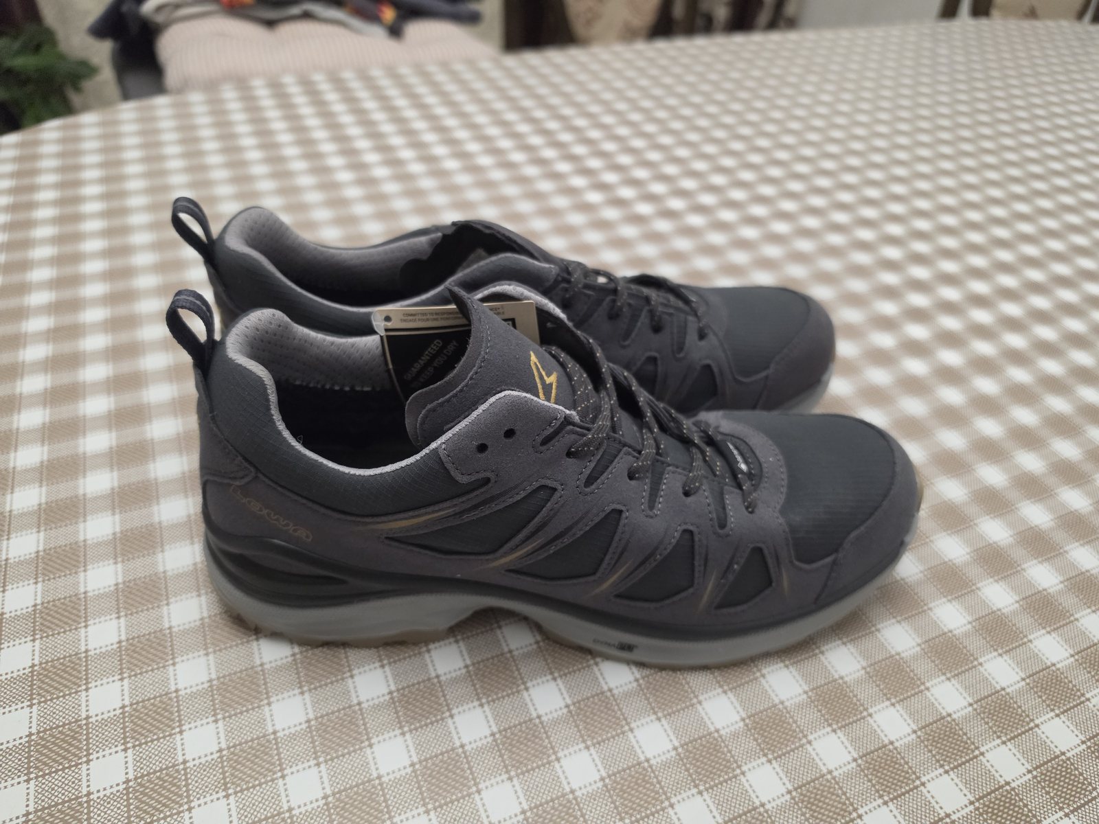 LOWA Innox Evo II GTX